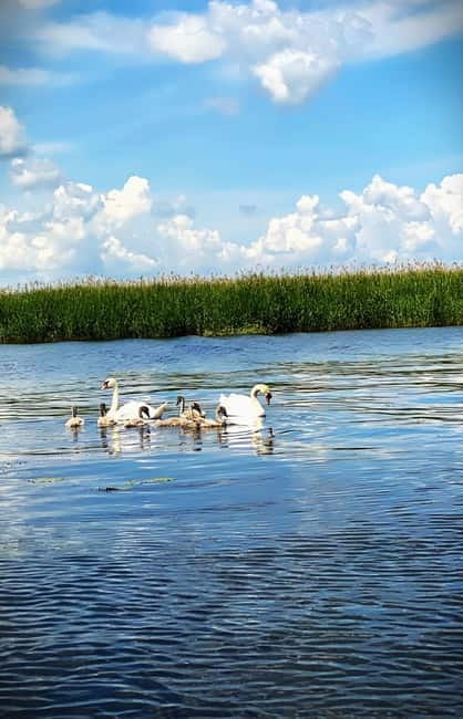 Boat Trip to Caraorman Forest - Danube Delta (5-6 hours) - Should you book the Caraorman Forest boat trip from Murighiol?