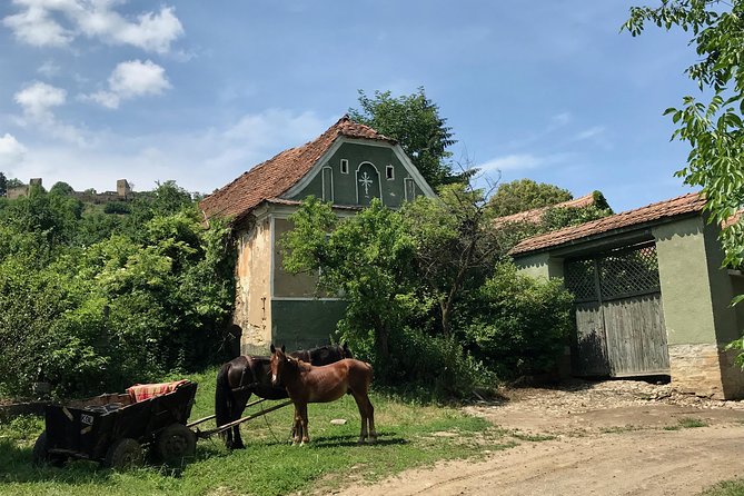 Bran and Rasnov Castles Tour from Brasov - Who this tour suits best, and who should think twice