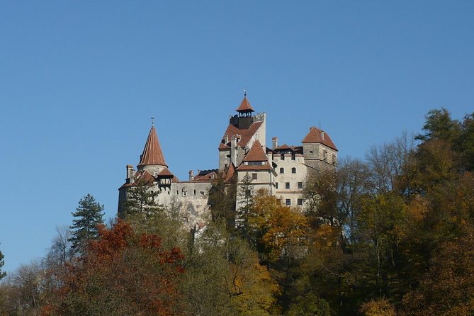 Bran Castle and more options private tour from Brasov - Quick hits before you go