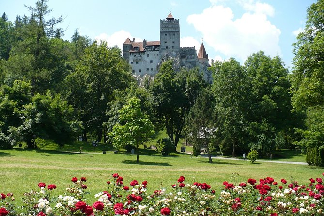 Bran Castle and more options private tour from Brasov - Choosing the right mix: bear sanctuary option or Saxon churches and viewpoints