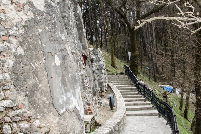 Bran Castle, Bear Sanctuary, and Rasnov Fortress Half Day Tour - Stop 2: Bran Castle for Dracula Legends and Real Time on Site