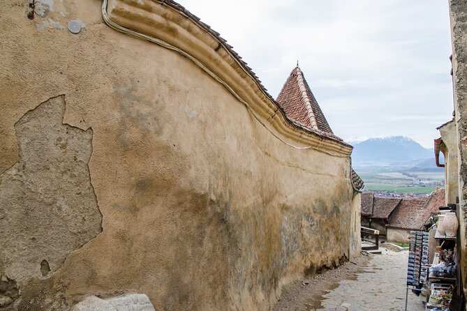 Bran Castle, Bear Sanctuary, and Rasnov Fortress Half Day Tour - Price and Logistics: Is $85 Good Value?