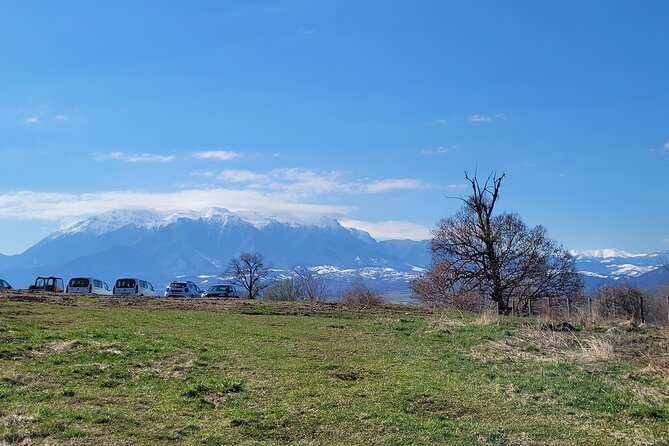 Bran Castle & Bear Sanctuary from Brasov - Optional Peles Castle - Price and What You Get for $192.25 Per Person