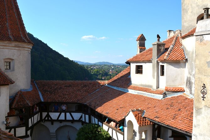 Bran Castle Entry Tickets - Comfort notes, stairs, and who should think twice