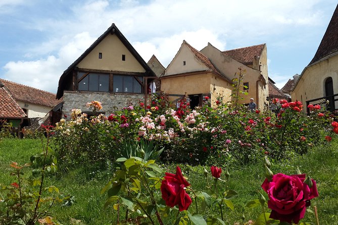 Bran Castle, Rasnov Fortress, Harman & Prejmer Fortified Churches Day Tour - Price and logistics: is $90.31 a good deal?