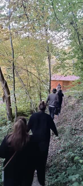 Brașov: 4-Hour Bear Watching Tour in Carpathian Mountains - The Ranger Briefing and the Short Walk to the Hide