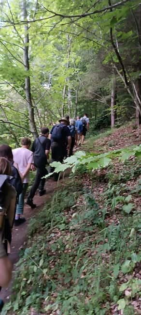 Brașov: 4-Hour Bear Watching Tour in Carpathian Mountains - Small Group Size, English Guidance, and Your Expectations