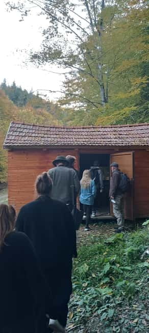 Brașov: 4-Hour Bear Watching Tour in Carpathian Mountains - Meetup in Brașov and the Ride Toward the Mountains