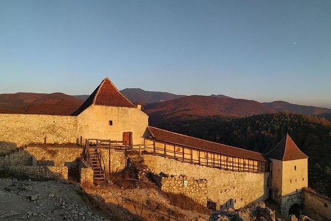 Brasov: Bear Sanctuary, Bran Castle & Rasnov Fortress GUIDED Tour - Why the guide makes a big difference on this exact route