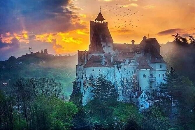 Brasov: Bear Sanctuary, Bran Castle & Rasnov Fortress GUIDED Tour - Price and value: what $69.54 covers, and what you should budget for