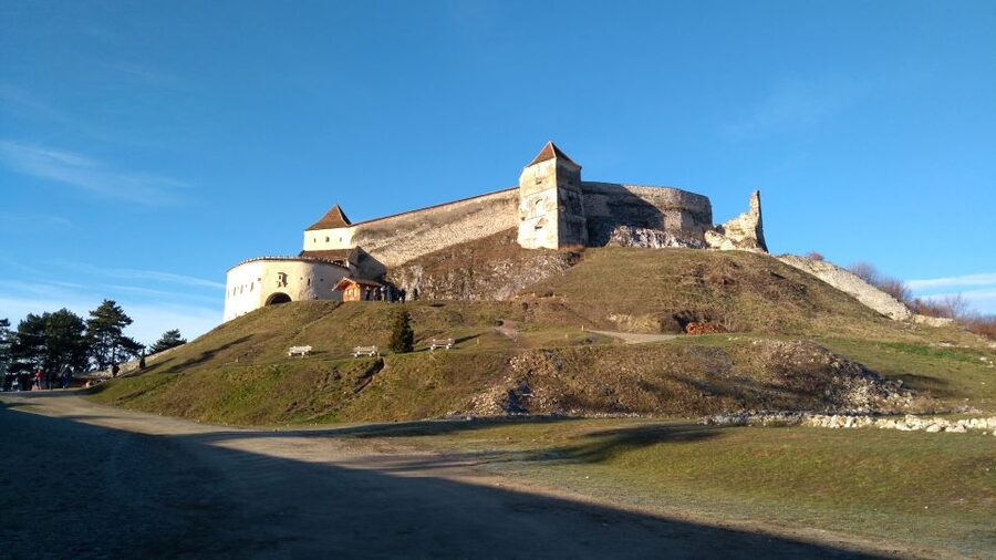 Brasov: Bear Sanctuary, Bran Castle & Rasnov Fortress Tour - Key Highlights You’ll Feel the Most