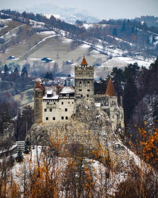 Brasov: Bear Sanctuary, Bran Castle & Rasnov Fortress Tour - Liberty Bear Sanctuary Zarnesti: The Stop That Changes Your Mood