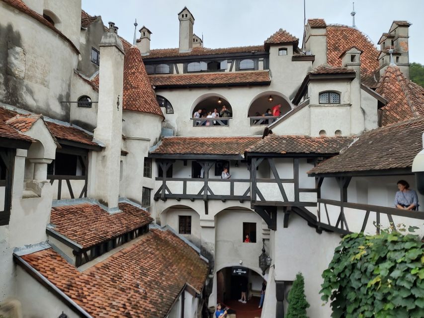 Brasov: Bear Sanctuary, Bran Castle & Rasnov Fortress Tour - Time Management: How to Plan a Full 1-Day Circuit