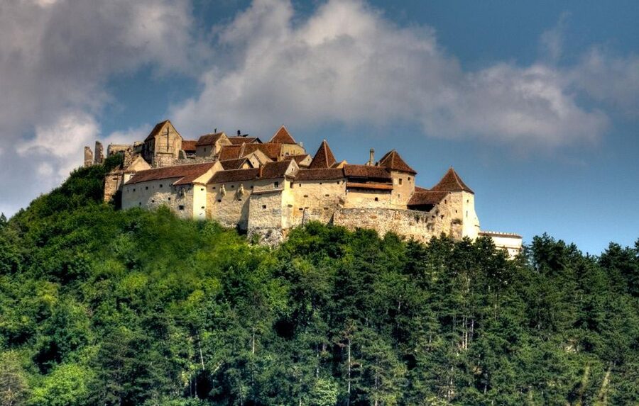 Brasov: Bear Sanctuary, Dracula Castle, and Râşnov Fortress - Bear Sanctuary in Zărnești: What makes this visit special