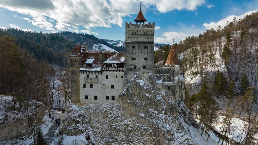 Brasov: Bear Sanctuary, Dracula Castle, and Râşnov Fortress - Guide style: the difference between facts and a smooth day