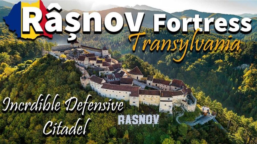 Brasov: Bear Sanctuary, Dracula Castle, and Râşnov Fortress - Who should book this Brasov half-day combo, and who might pass