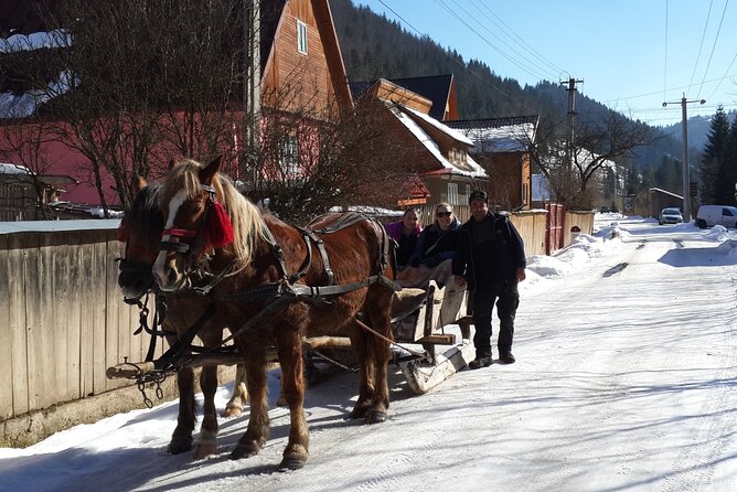Brasov: Bears Sanctuary, Rasnov Fortress, Bran Castle GUIDED Tour - Râșnov Citadel: Teutonic walls, legends, and a panoramic payoff