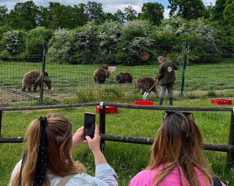 Brasov: Bran Castle, Bear Sanctuary, Rasnov (Peles Optional) - Bears first: Libearty Bear Sanctuary Zarnesti and what you are really learning