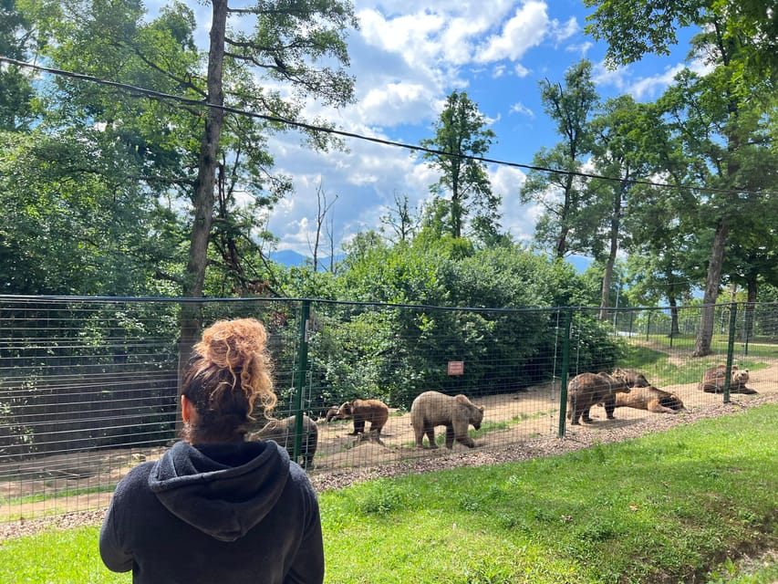 Brasov: Bran Castle, Bear Sanctuary, Rasnov (Peles Optional) - Rasnov Citadel: medieval survival, courtyards, and the view over Transylvania