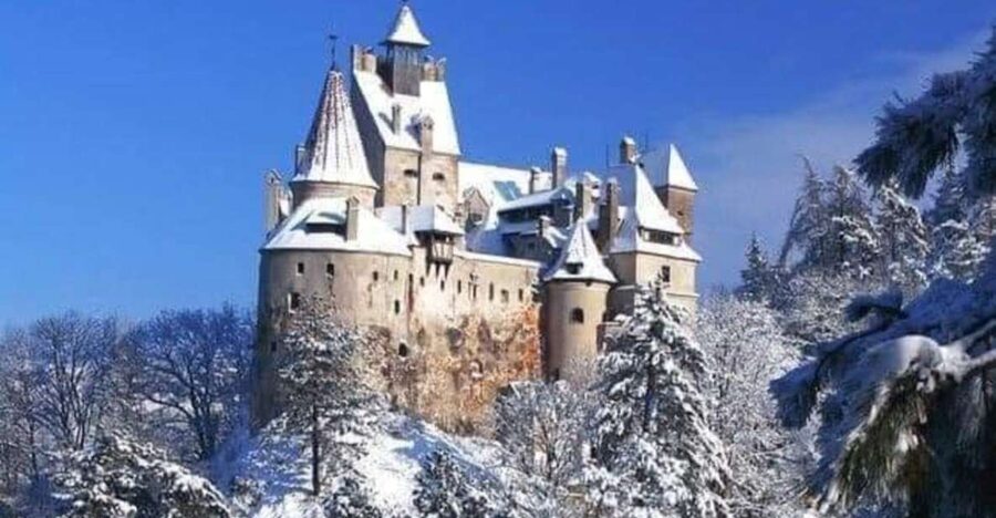 Brasov: Bran, Peles and Cantacuzino Castles Day Tour - Price and value: what you really get for $97 per person