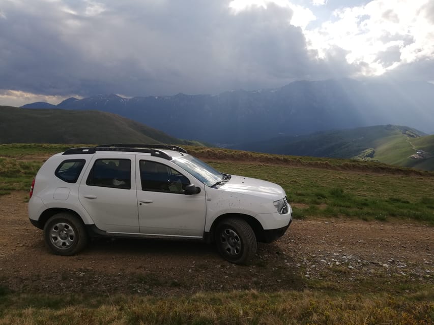 Brasov: Brown Bear & Wildlife Watching - English Host, Practical Expectations, and How to Prepare