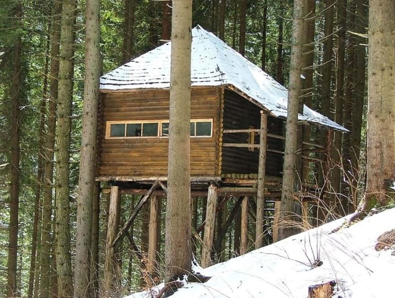 Brasov: Brown Bear & Wildlife Watching - The Ranger Experience: Safety First, Learning Comes Second for Some