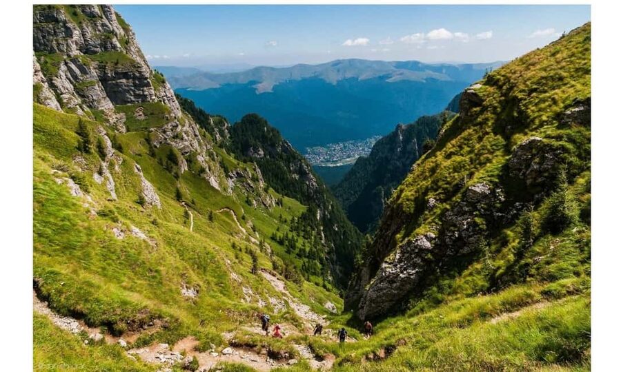 Brașov: Carpathian Mountains Guided Hike with Pickup - What 6 hours in the mountains really includes