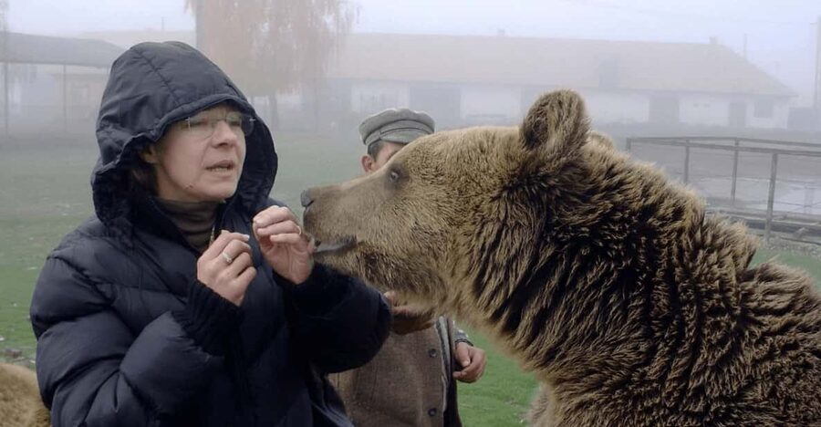 Brasov: Libearty Bear Sanctuary - Key things to know before you go