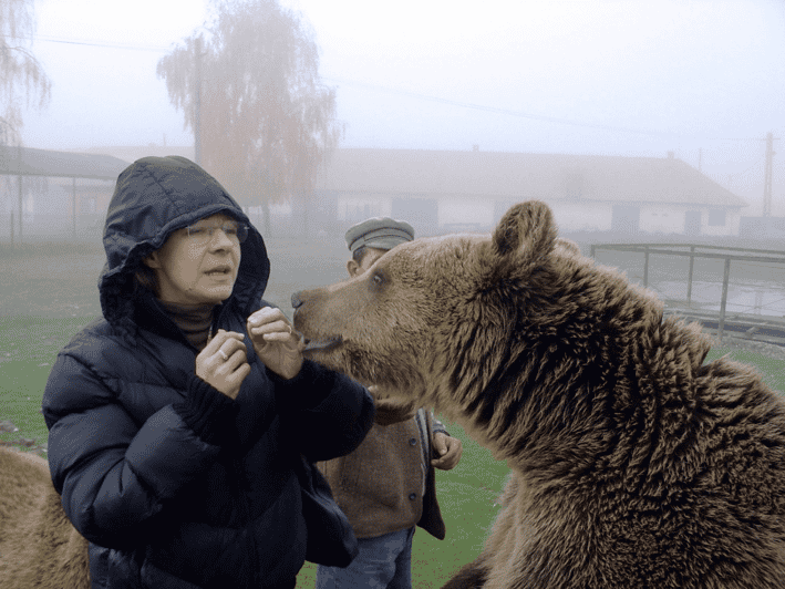 Brasov: Libearty Bear Sanctuary - Libearty Bear Sanctuary near Brasov is a meaningful half day