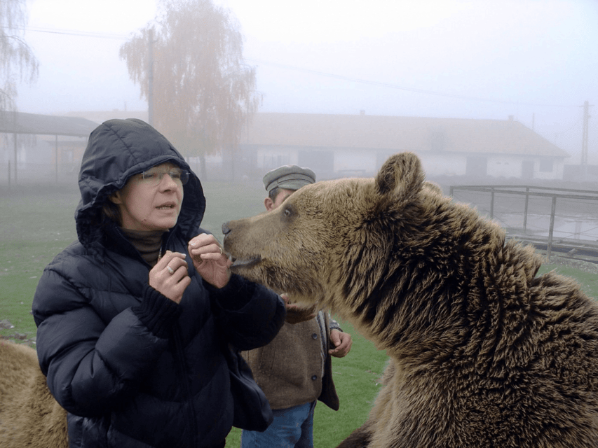 Brasov: Libearty Bear Sanctuary - Forest walk with an English guide across roughly 69 to 70 hectares