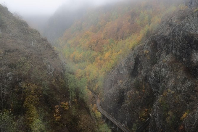 Brasov Private Tour: Transfagarasan road & Poienari Fortress - Price and Value: Is $223.26 Fair for a 10-Hour Day?