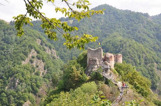 Brasov Private Tour: Transfagarasan road & Poienari Fortress - Transfagarasan Highway Views, Road Works, and Seasonal Reality