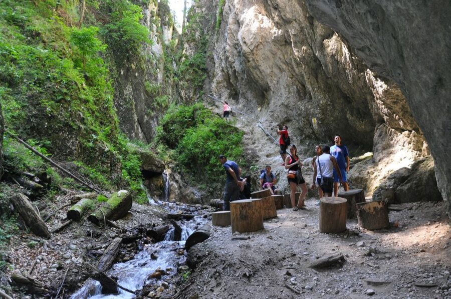 Brasov: Small-Group 7 Ladders Canyon Day Trip - Entering the canyon: bridges, near-vertical ladders, and waterfall timing