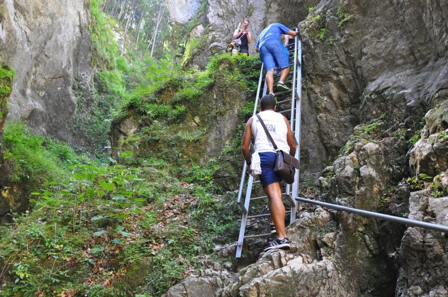Brasov: Small-Group 7 Ladders Canyon Day Trip - Price and value: what $76 covers, plus the 20 lei entrance fee
