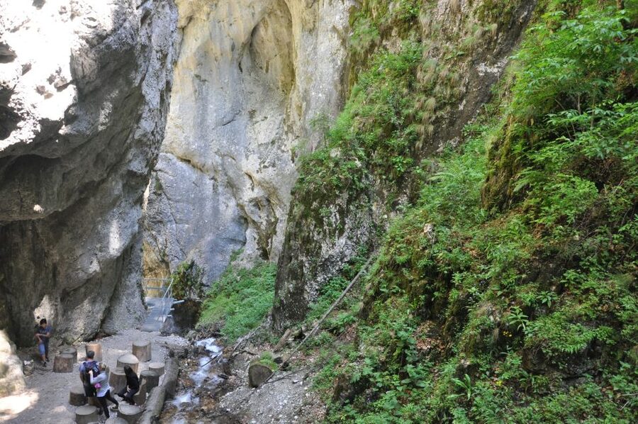 Brasov: Small-Group 7 Ladders Canyon Day Trip - Who should book this Brasov canyon trip, and who should skip it