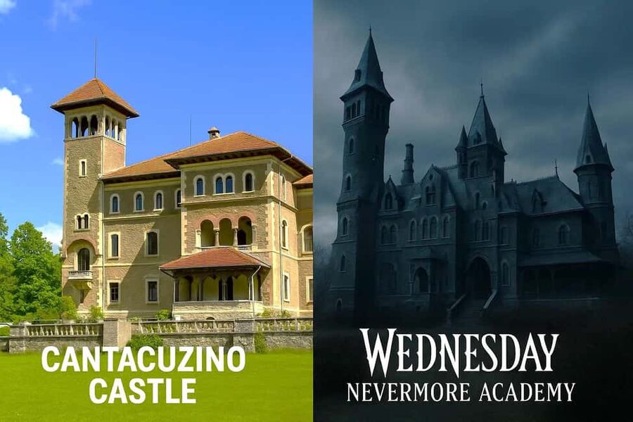 Bucharest: 3 Castles Day Trip Dracula, Peles & "Wednesday" - Who should book this, and who should consider another plan