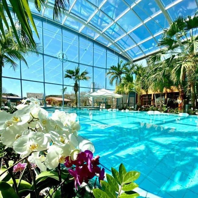 Bucharest: All Day Therme with Elysium Experience - Getting there without stress: transfer from Grand Hotel Bucharest