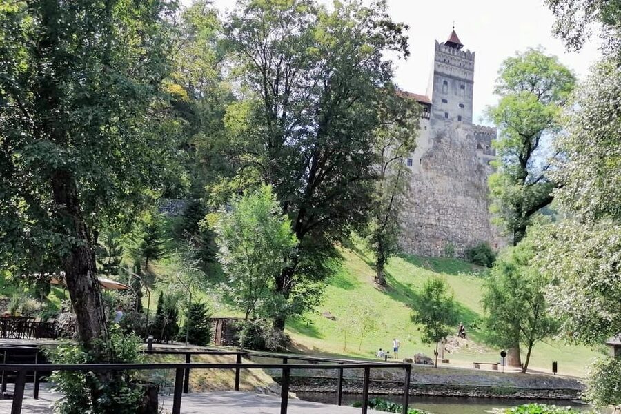 Bucharest: Bran Castle and Bear Sanctuary Small-Group Tour - Guides, Comfort, and the Small Details That People Remember