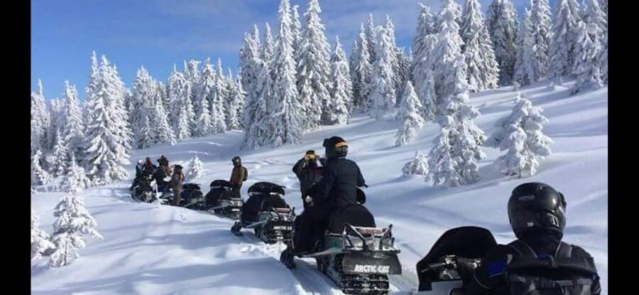 Bucharest: Carpathian Snowmobile / ATV Adventure Tour - Weather, traffic, and why this is a private tour that can adapt