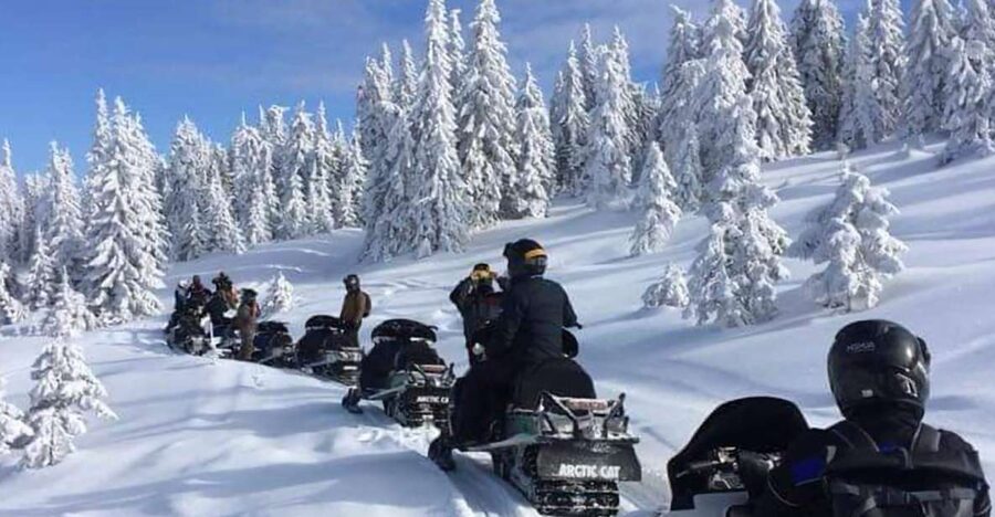 Bucharest: Carpathian Snowmobile / ATV Adventure Tour - Getting picked up in Bucharest, then riding out to the mountains