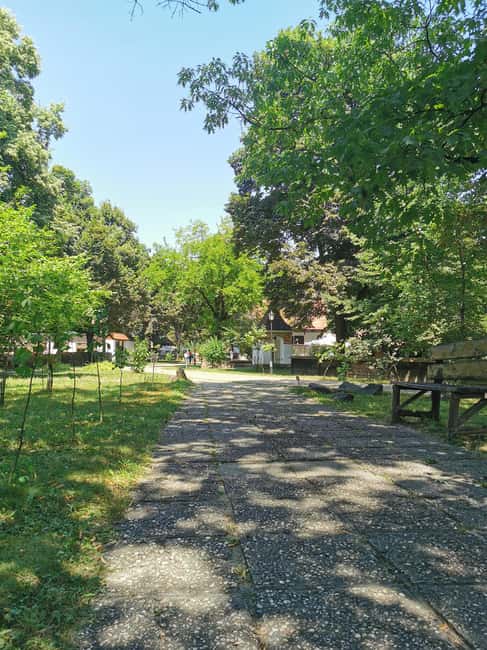 Bucharest city tour: Village Museum visit & Panormaic tour - The Panoramic Drive Along Calea Victoriei and Bucharest’s Main Squares