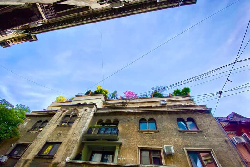 Bucharest: Craft Beer Tour with Traditional Meal - Traditional Snacks and a Local Restaurant Meal