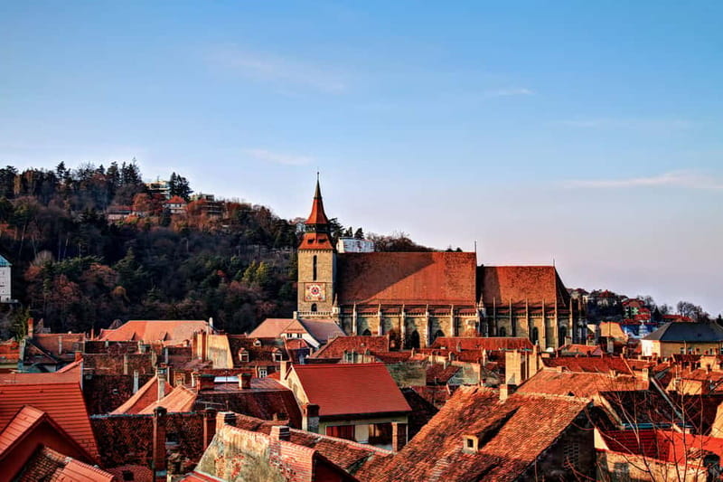 Bucharest: Day Trip to Bear Sanctuary, Bran Castle & Brasov - Zărnești Bear Sanctuary and the Teddy Bear Museum That Tells a Bigger Story