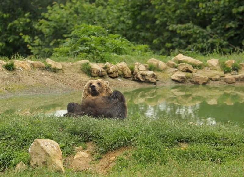 Bucharest: Day Trip to Bear Sanctuary, Bran Castle & Brasov - Bran Castle and the Dracula Lens, What You Actually See