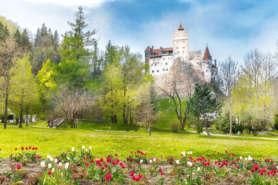 Bucharest: Day Trip to Dracula Castle, Peles Castle & Brașov - Who should book this day trip, and who should skip it