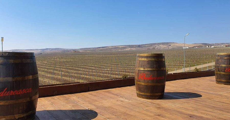 Bucharest: Dealu Mare Winery Private Trip with Wine Tasting - How the 6-hour Dealu Mare day trip actually fits together