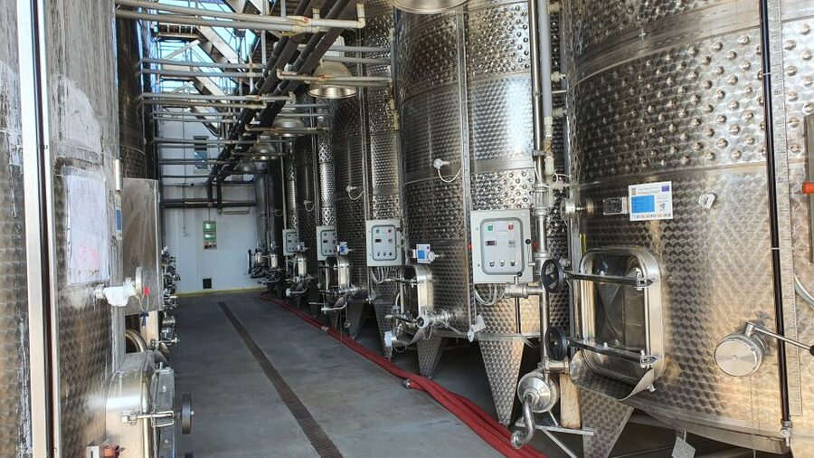 Bucharest: Dealu Mare Winery Private Trip with Wine Tasting - Taste and pairings: about 7 wines with light snacks