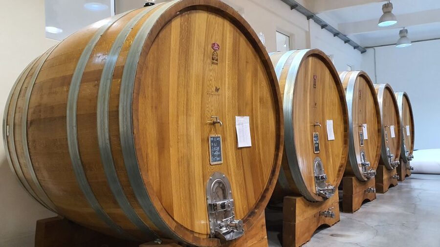 Bucharest: Dealu Mare Winery Private Trip with Wine Tasting - Who should book this Dealu Mare wine tasting trip, and who should skip it