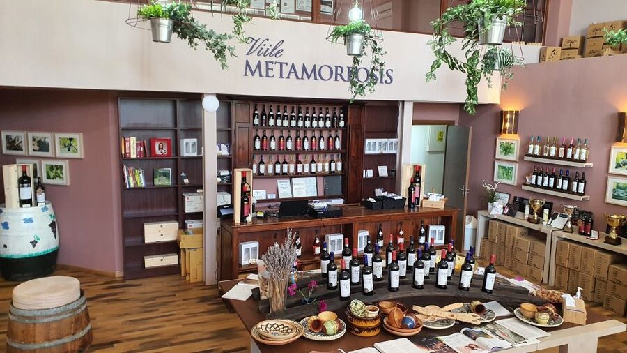 Bucharest: Dealu Mare Winery Private Trip with Wine Tasting - Should you book this private Dealu Mare winery trip?