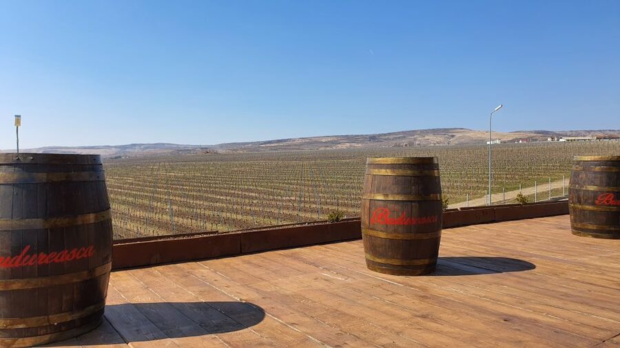 Bucharest: Dealu Mare Winery Private Trip with Wine Tasting - Stop One in Dealu Mare: guided vineyard tour plus your first tasting